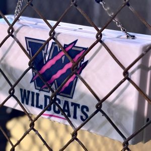 Custom Designed Dugout Scoreboard